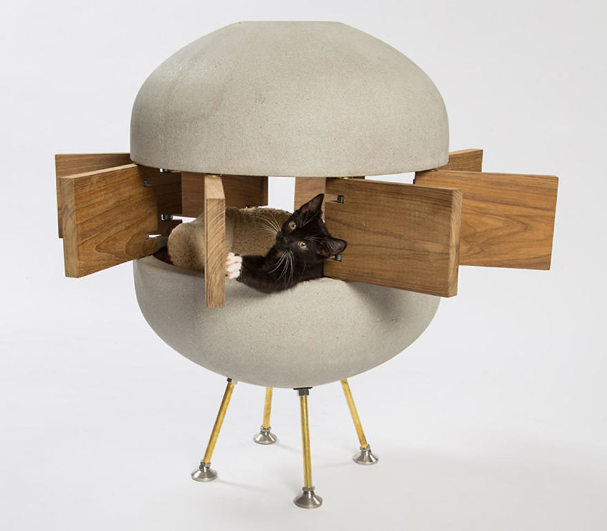 Standard Architecture | Design’s “Catosphere,” A Concrete And Reclaimed Teak Pod