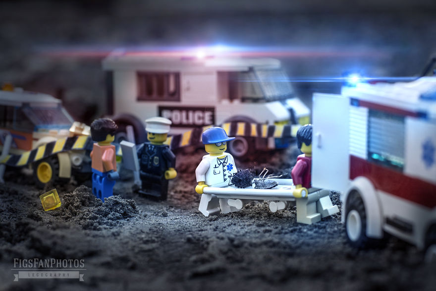 I Captured Funny Scenes With Animals And Lego Figures