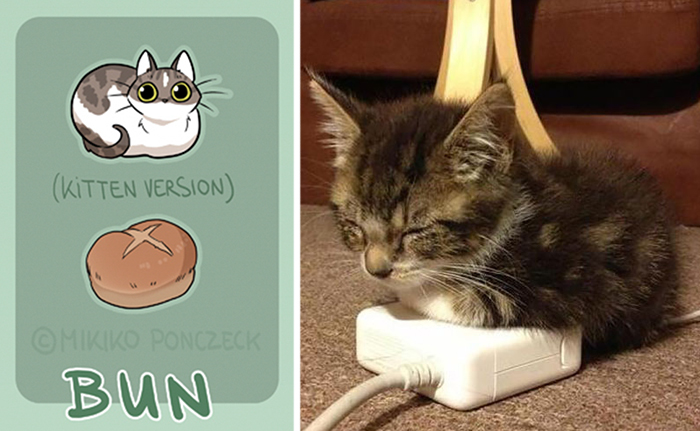 Artist Proves Cats Are More Bread Than You'd Think
