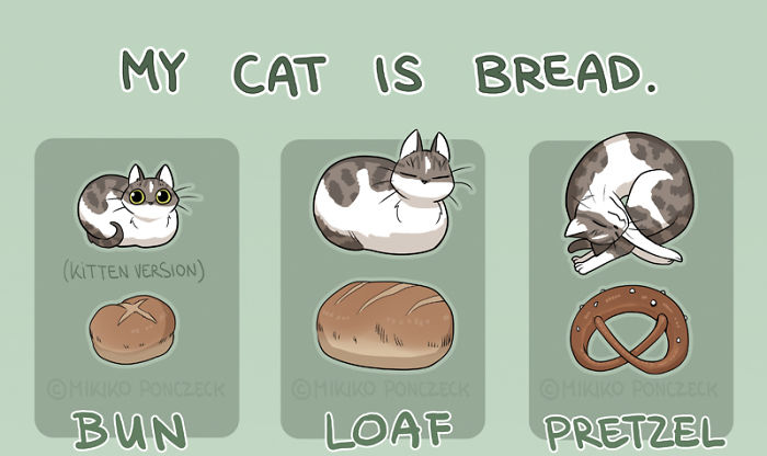 Artist Proves Cats Are More Bread Than You'd Think