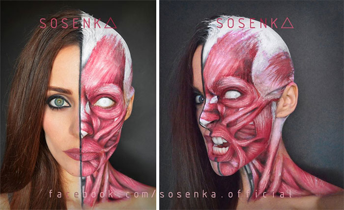 Anatomical Makeup