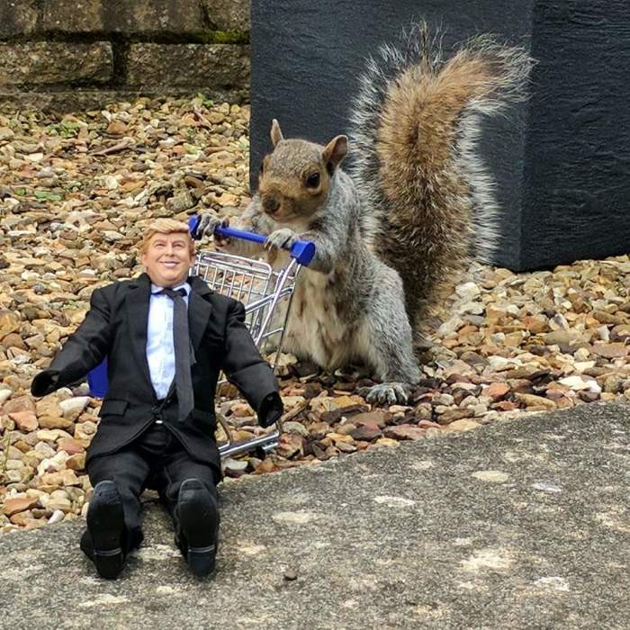 I Have Been Photographing A Garden Visitor