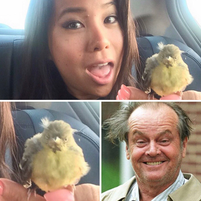 Mi uber tenía un pájaro en el coche que se parecía a Jack Nicholson