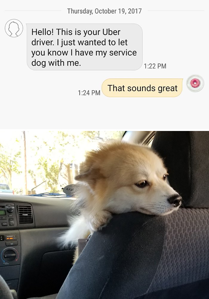 Soy tu conductor de Uber. Solo quería decirte que viene mi perro conmigo / Me parece genial