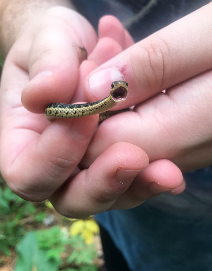 Found This Cute Little Noodle Today