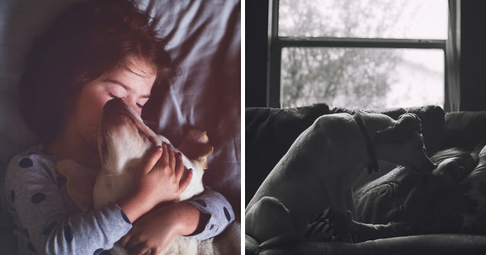 We Adopted A Dog From An Animal Shelter And She Became Our Daughter’s Best Friend