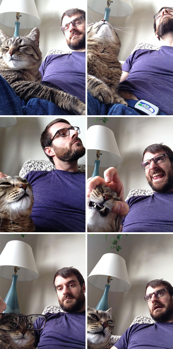 My Wife Is Stuck At Work Today, So Me And The Cat Texted Her Some Selfies