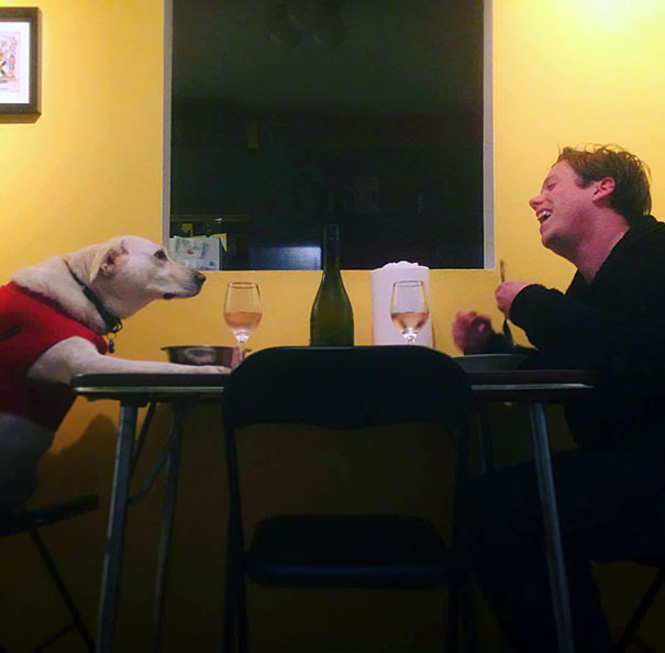 My Girlfriend Was Out Of Town So My Dog And I Finally Had The Dinner We're Always Putting Off