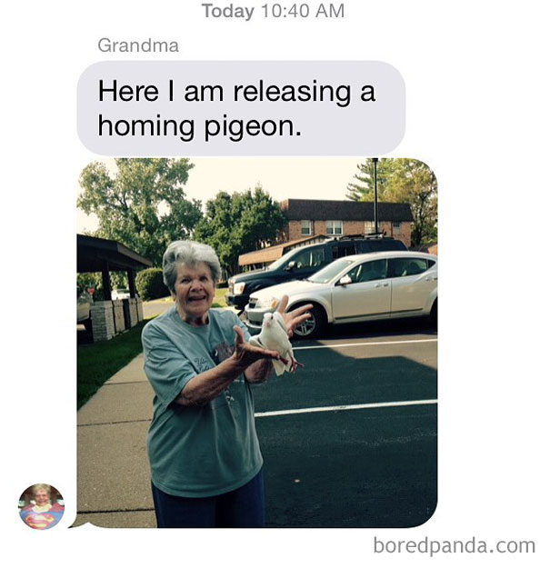 Sharing Love Of Pigeons
