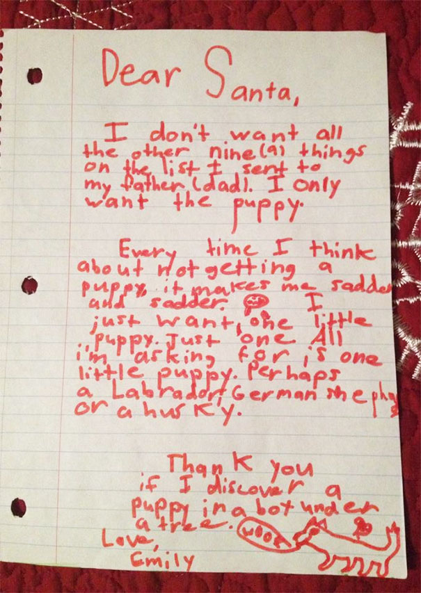 My Niece's Letter To Santa