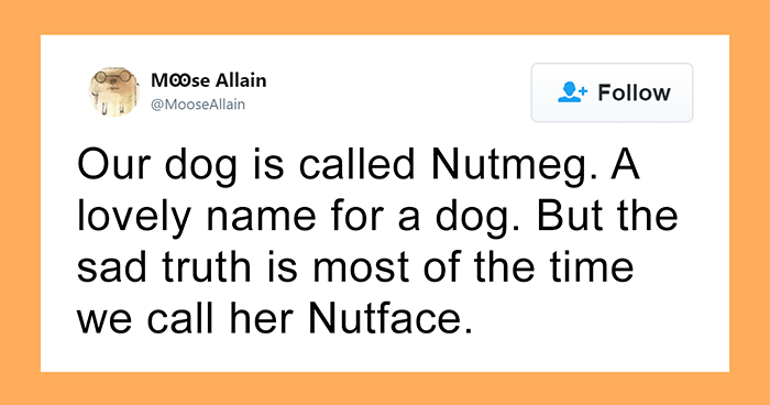 People Are Sharing The Names They Now Call Their Pets Instead Of The Original One, And It’s Hilarious