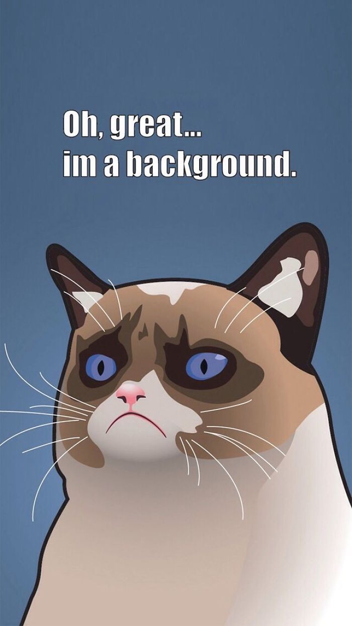 5 Funny Memes