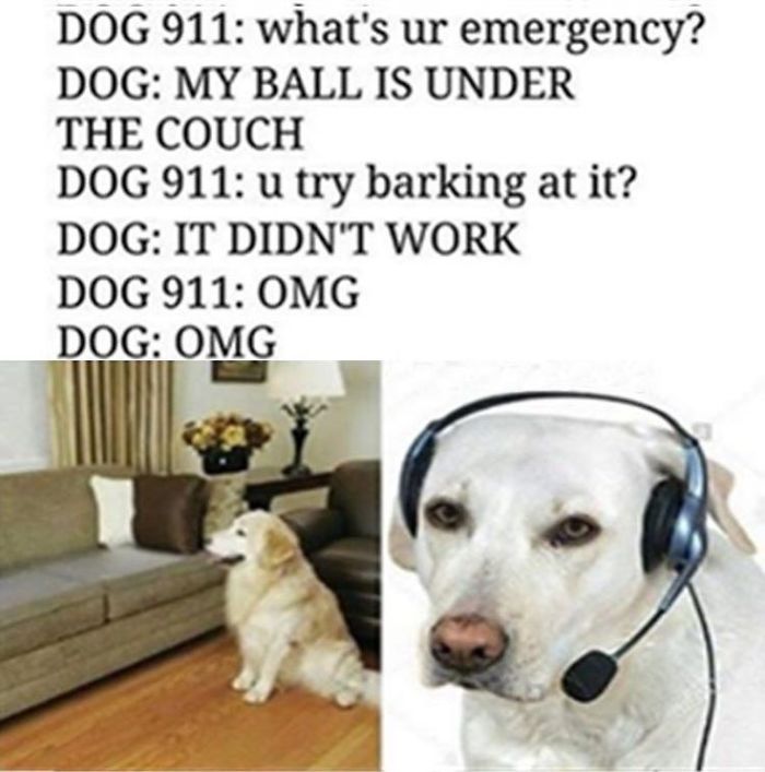 5 Funny Memes