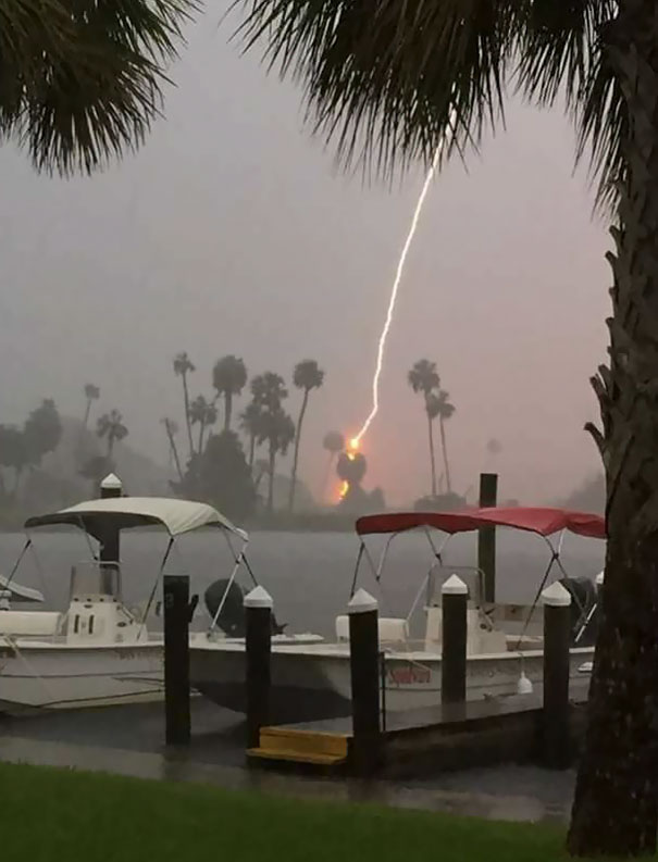 My Mom Accidentally Caught Lightning When Trying To Take A Picture Of Palm Trees During A Storm