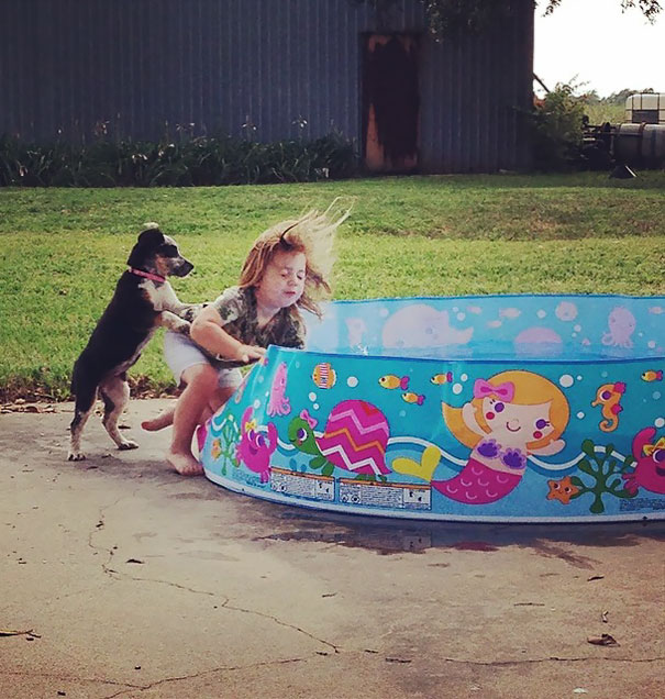 My Friend Caught The Exact Moment The Dog Ran Into Her Daughter And Pushed Her In The Pool