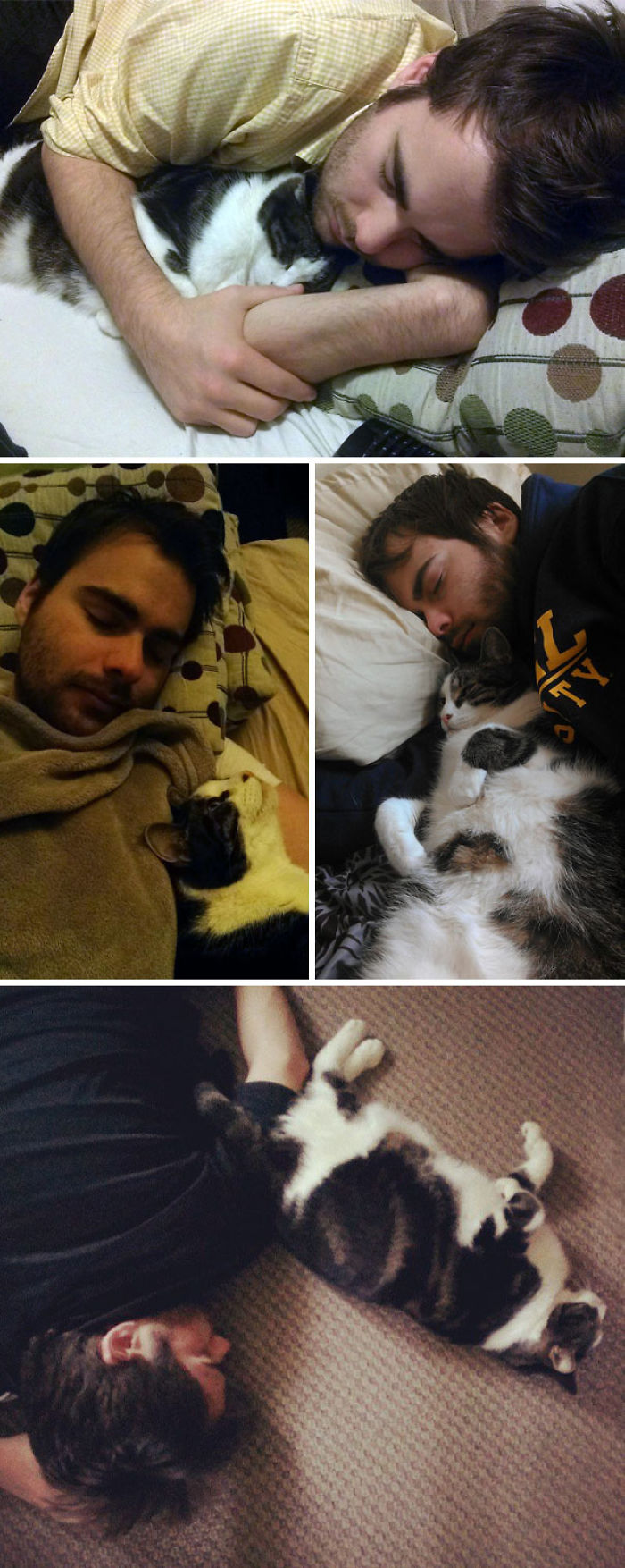 No importa donde duerma mi marido, el gato lo encuentra y se duerme con él