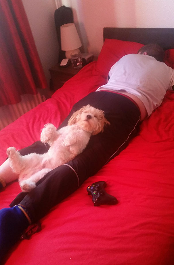 Found My Boyfriend And Dog Taking A Nap Like This