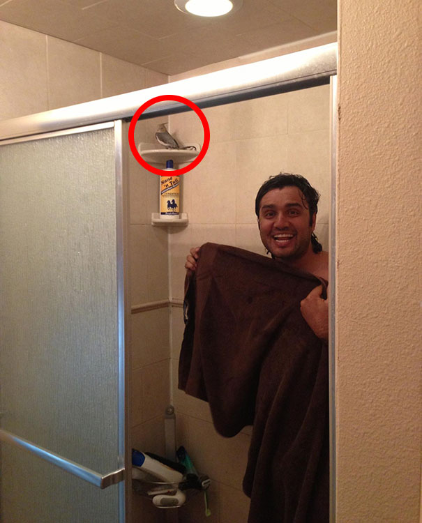 Today My Friend Came Home To Find Her Husband Showering With His Bird