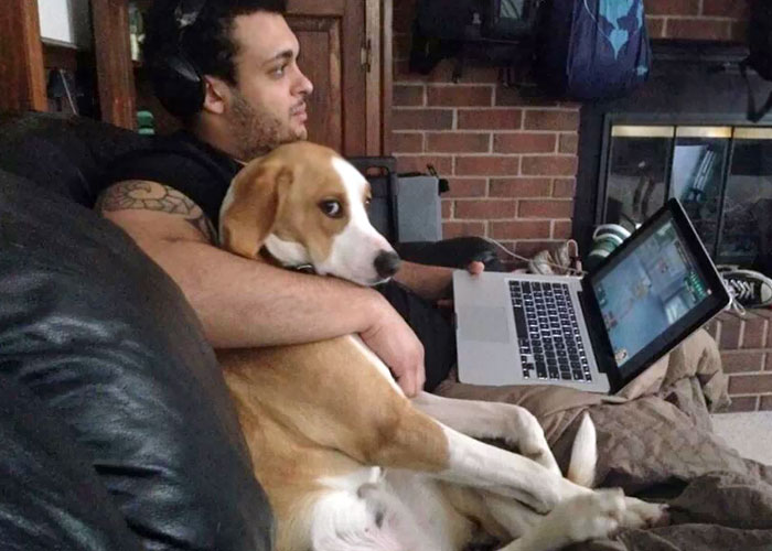 30 Shameless Pets That Stole Owner’s Partner And Didn’t Even Feel Sorry