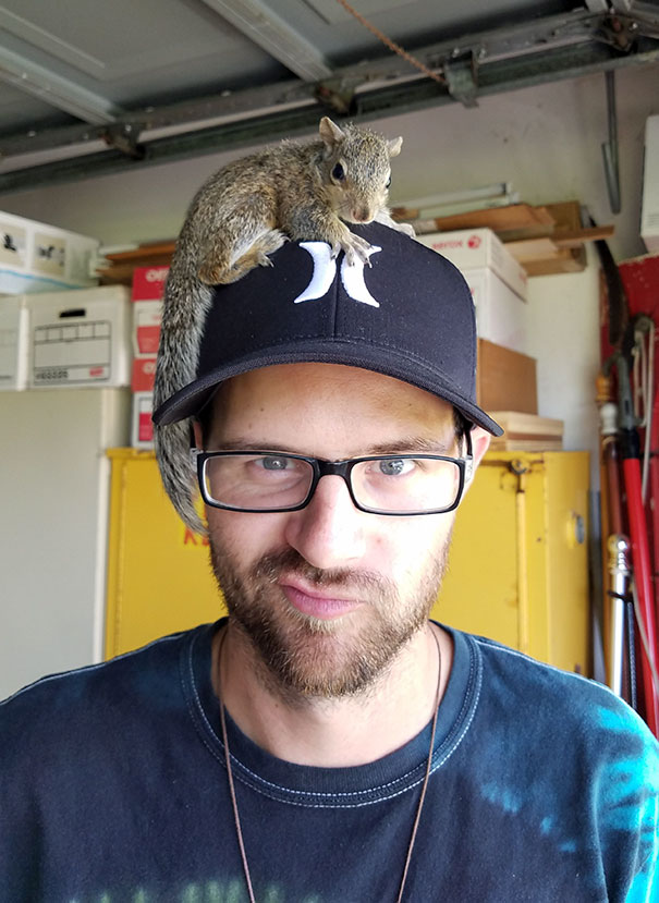 The Day After Hurricane Irma, This Baby Squirrel Ran Straight Up To Me, Jumped Into My Hands And Passed Out. I'm Sure It Had A Rough Night