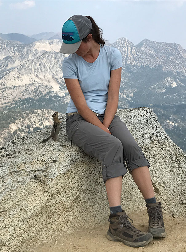 This Chipmunk Looking Up At My Gf On Top Of Eagle Cap Summit
