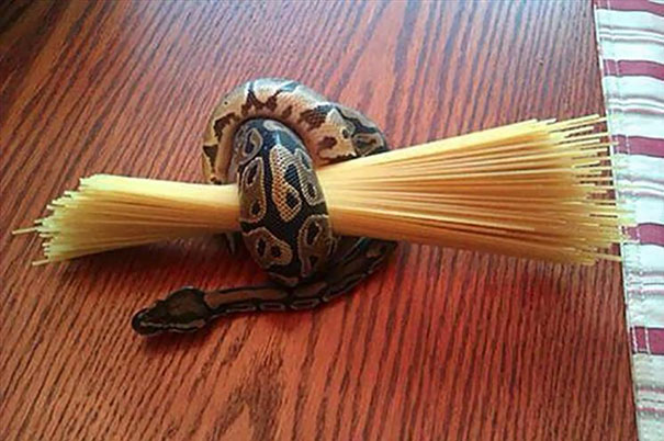 Use A Snake To Hold Your Pasta Easily