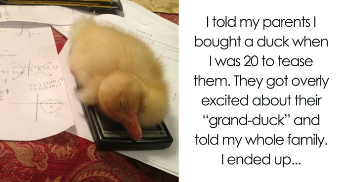 86 Small Lies That Escalated Into “This Is My Life Now”