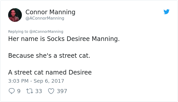 street-cat- follow-human-socks (18)