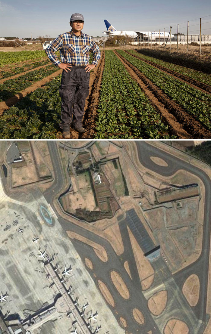 The Farm In The Middle Of Narita Airport. Farmers Are Refusing To Give Up Their Land In The Middle Of This Airport In Japan. The Runway Is Only Half Usable Because Of Their Refusal To Relocate. They Are Currently A Literal Stones Throw Away From The Flight Path And Must Be Living An Earth Shaking Experience.