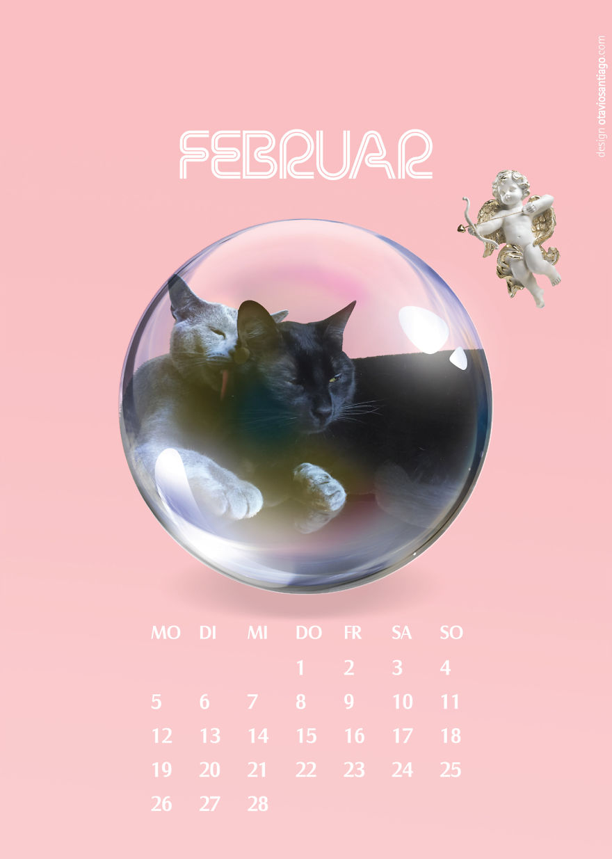 This Calendar From Berlin Depicts The Love Story Of Two Cats