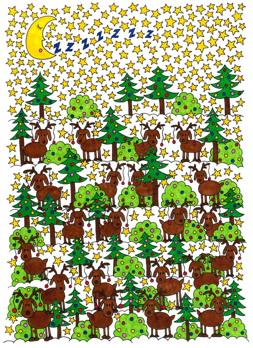 Can You Find Rudolph? How About The 6-Sided Star?