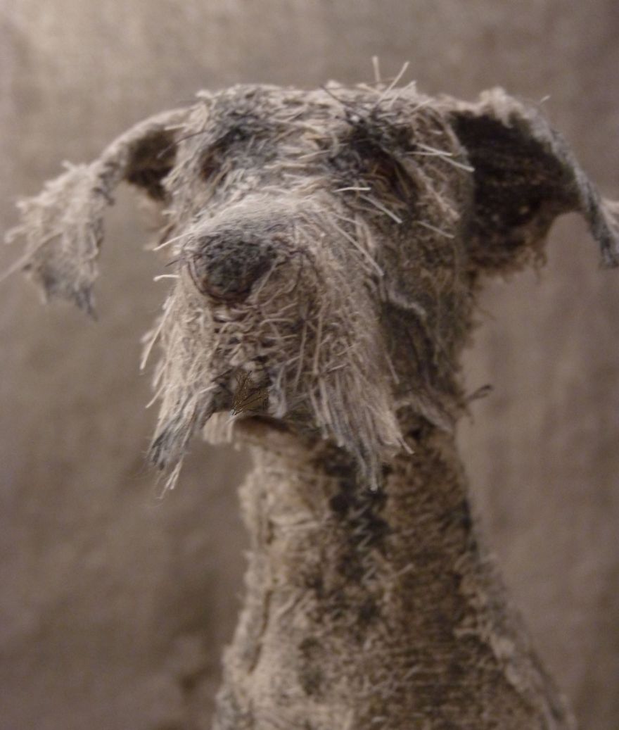 Artist Makes Sad Dogs With Old Clothes And The Result Is Incredible