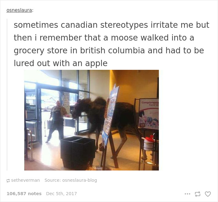 Funny-Canada-Jokes-Memes-Tumblr