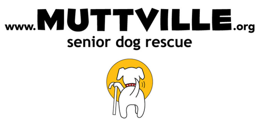 18 Years Old And Dumped At A Clinic Because This Poodle Was Stupid! 18 Years Old And Dumped At A Clinic Because This Poodle Was Stupid!