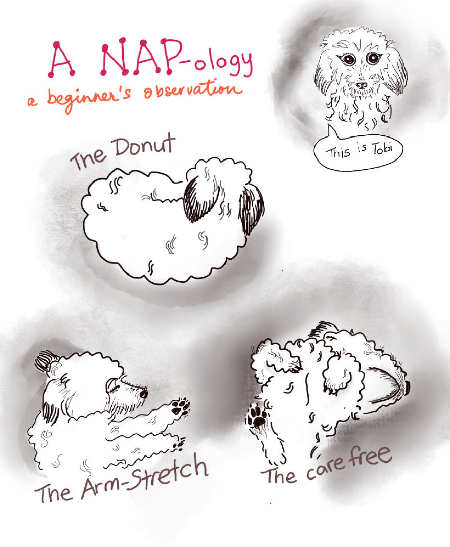 Nap-Ology