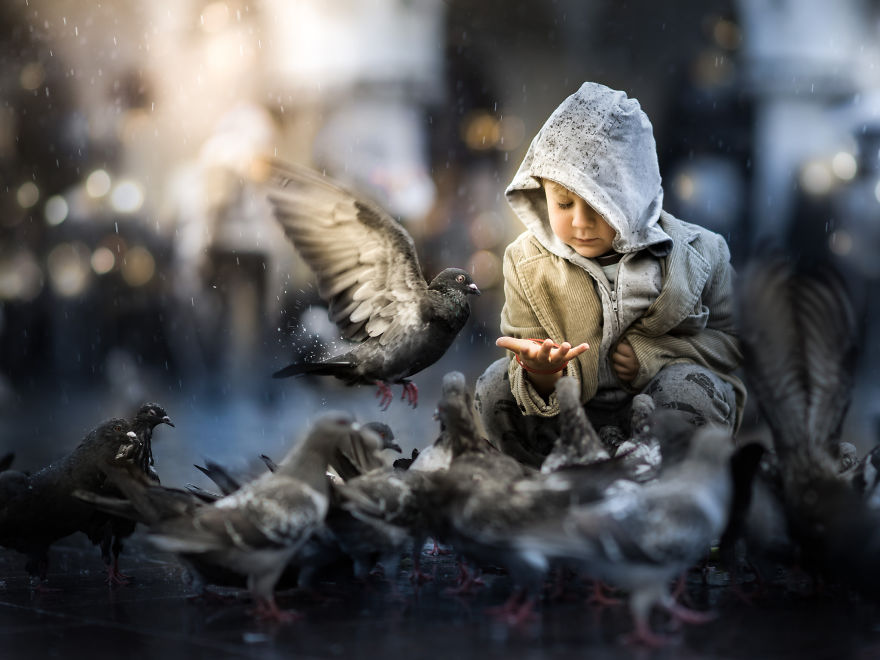 My Son Jaś And The Pigeons At Kraków Market Square