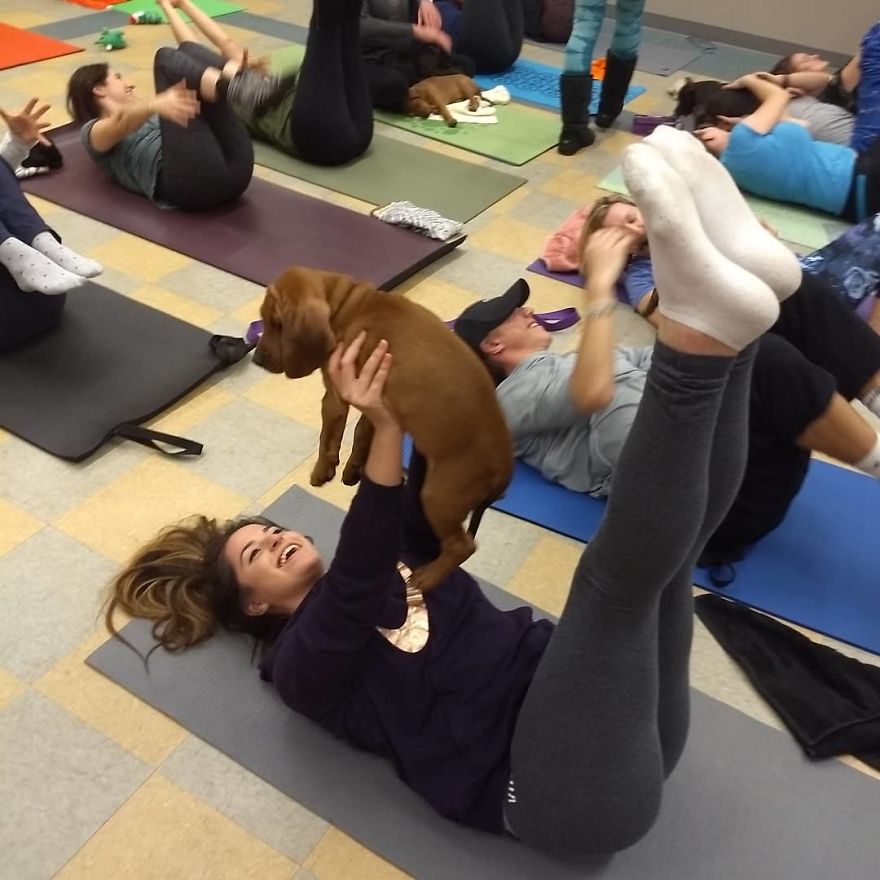 Puppy Pilates, The Training Trend That Will Leave You Wanting To Enroll Immediately