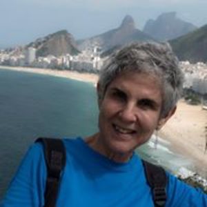 munizfigueiredo avatar