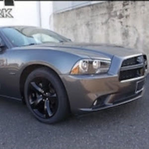 deborahcapelli avatar