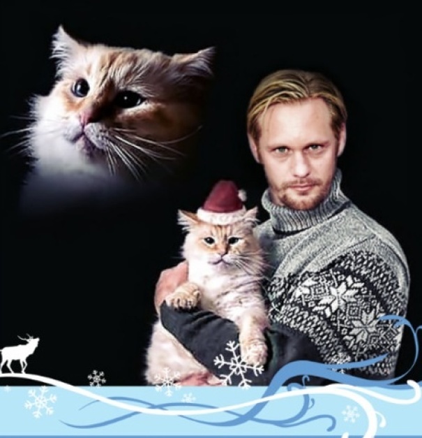 Extremely Awkward Christmas Card With A Cat