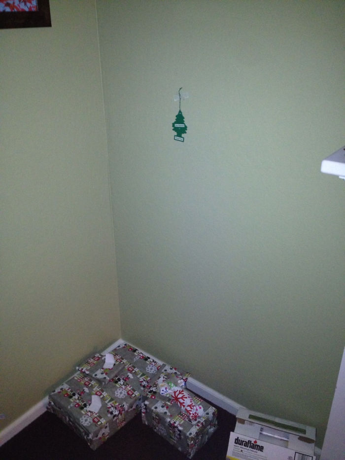 Put Up The Christmas Tree, They Said...