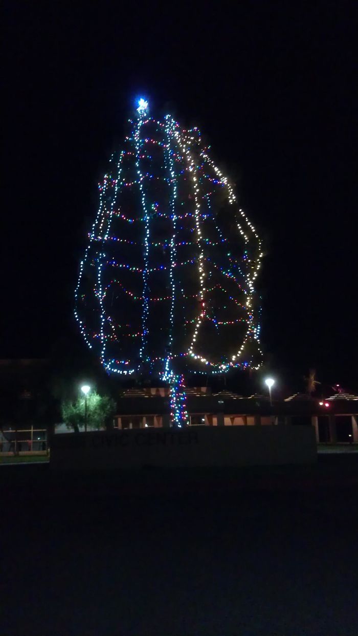 I Drove By City Hall And Saw This Last Night. Behold, My City's Christmas Tree