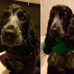 shadowbreed223 avatar