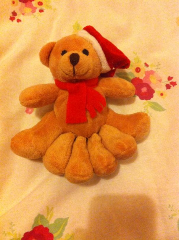 My Friend Asked Her Parents For A 6ft Teddy Bear For Christmas. Today She Got This