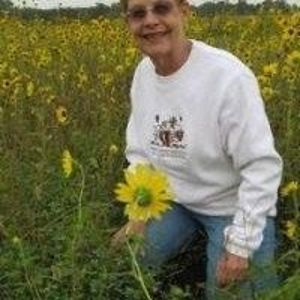 sandiadreamin avatar