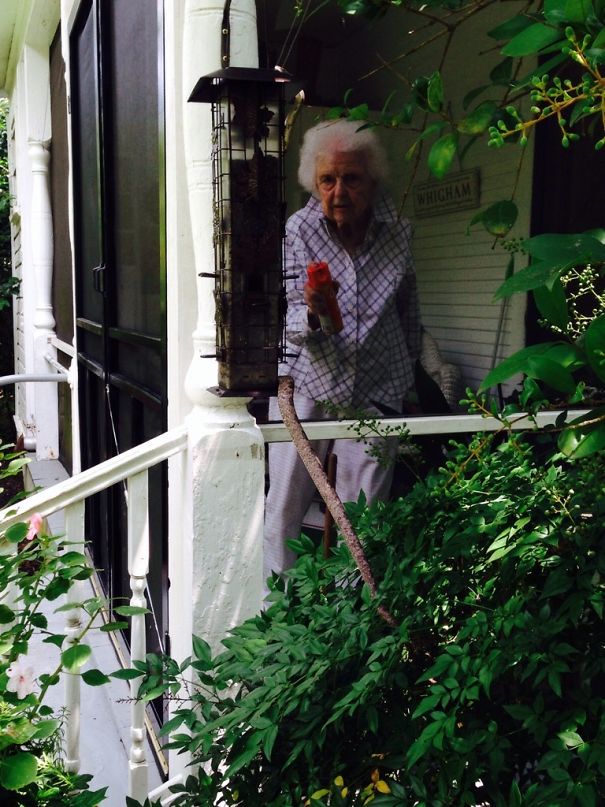 My 93-Year-Old Grandma Spraying A 9 Ft Snake With Off! In Whigham, GA