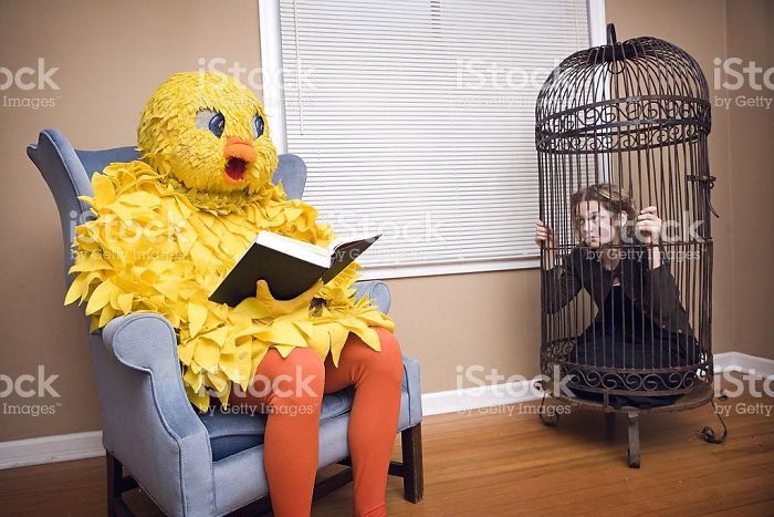 Chicken mascot reading a book in armchair and a woman sitting in a bird cage