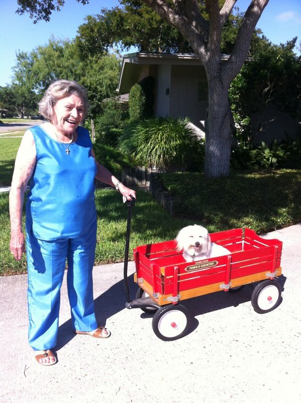 My Girlfriend Asked Her Grandmother If She'd Walk Her Dog While She Was At Work. This Is What She Came Home To