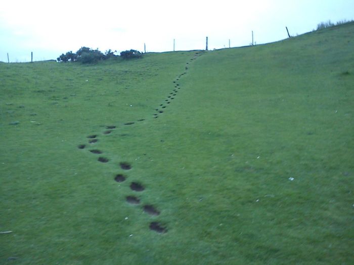 Footsteps Used By Children For Years (Donnelly's Hollow, Ireland)