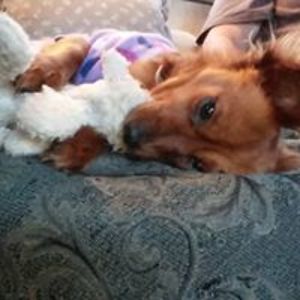 stoneseeker2003 avatar